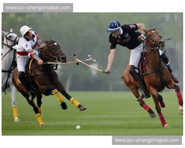 预测马术:用数据读懂马背上的未来 预测马术:用数据读懂马背上的未来